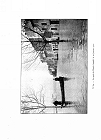 page294a.jpg